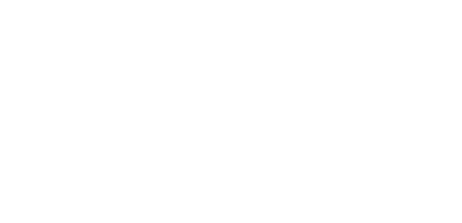 USA LOGO