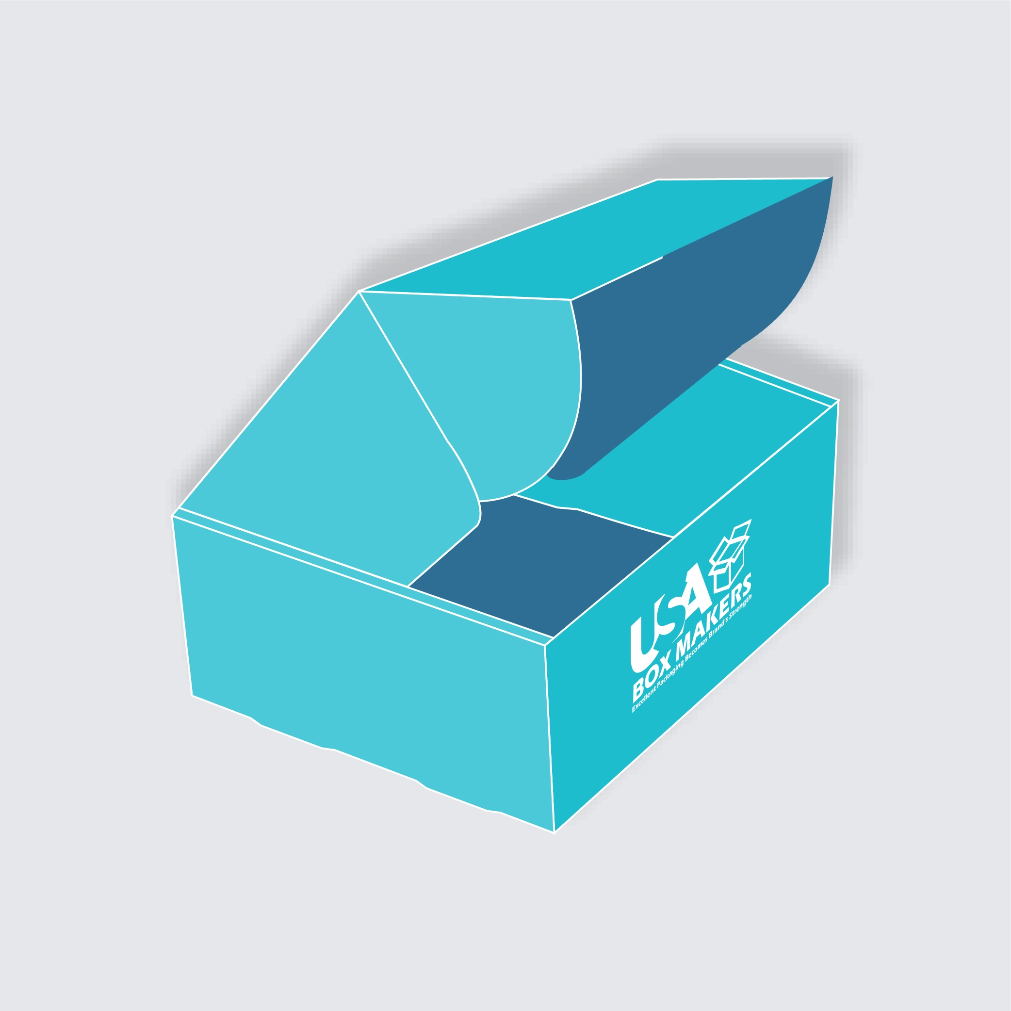 Mailer Box